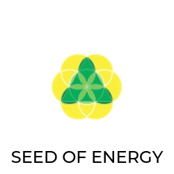 Seed Of Energy