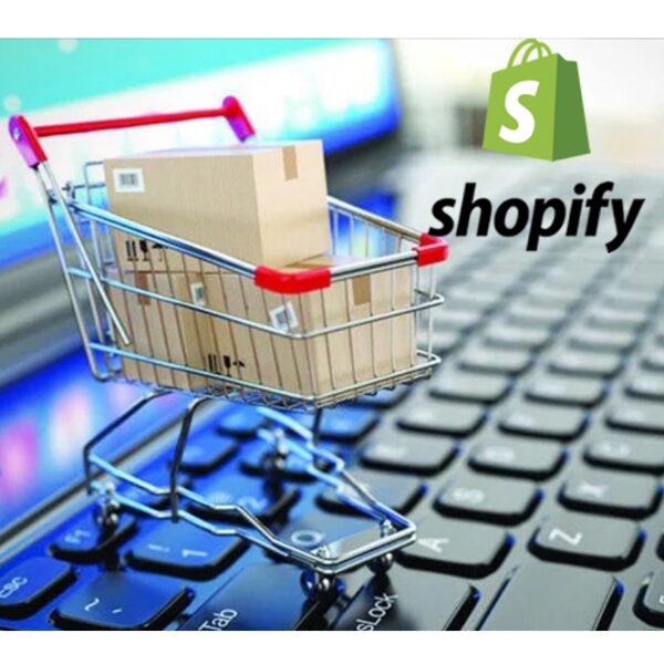 Interneta veikala izveide Shopify platformā un apmācība darbam